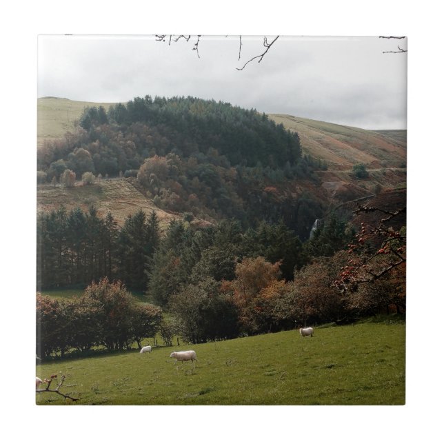 Pennant Valley Wales Fliese (Vorderseite)