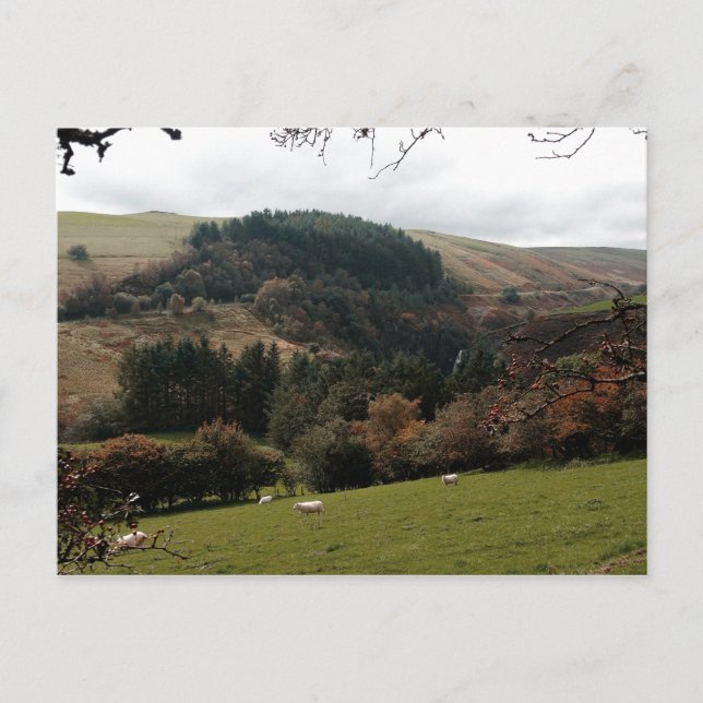 Pennant Valley Wales Postkarte (Vorderseite)
