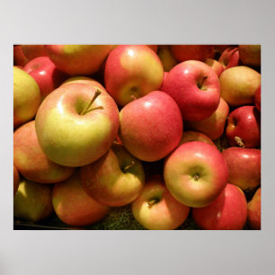 Pennsylvania-Apfel-Plakat, 30,67" X 23" Poster
