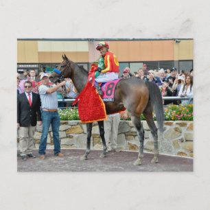 Pennsylvania Derby Gewinner - McKenzie Postkarte