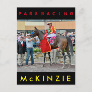 Pennsylvania Derby Gewinner - McKinzie Postkarte