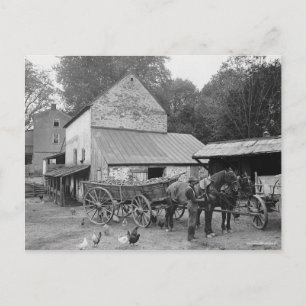 Pennsylvania-Farm, 1906 Postkarte