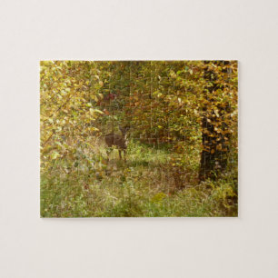 Pennsylvania-Hirsche im Herbst Natur