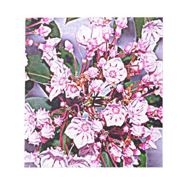 Pennsylvania Mountain Laurel Notizblock (Vorderseite)