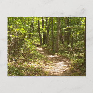 Pennsylvania-Puten Postkarte