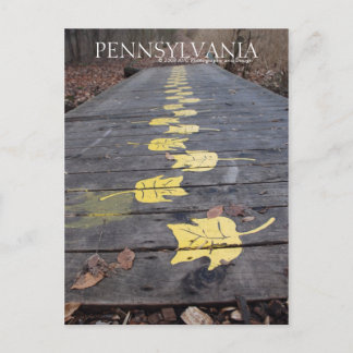 Pennsylvania Spaziergang durch den Park Postcard Postkarte
