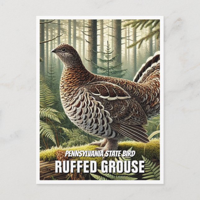 Pennsylvania Staat Bird Ruffed Grouse Postkarte (Vorderseite)