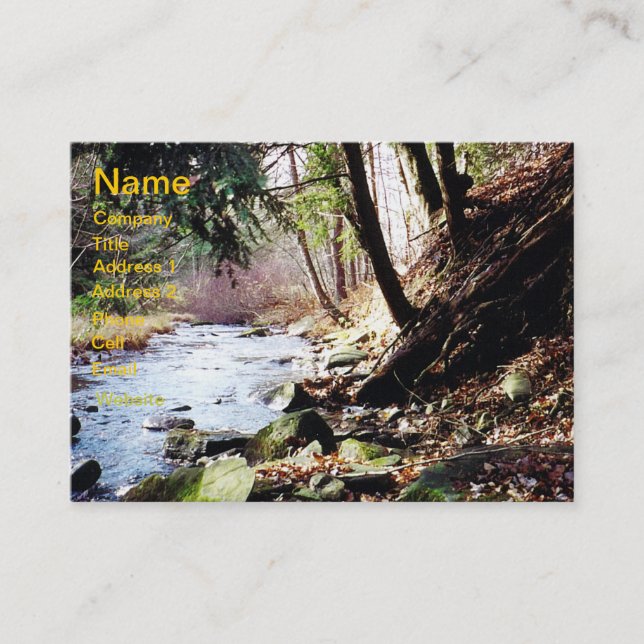 Pennsylvania Stream 02 Carte de visite (Devant)