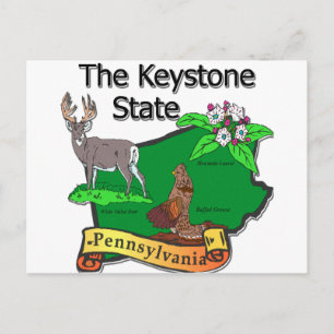 Pennsylvania The Keystone Staat Bird Deer Blume Postkarte