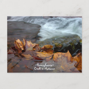 Pennsylvanie creek Carte postale