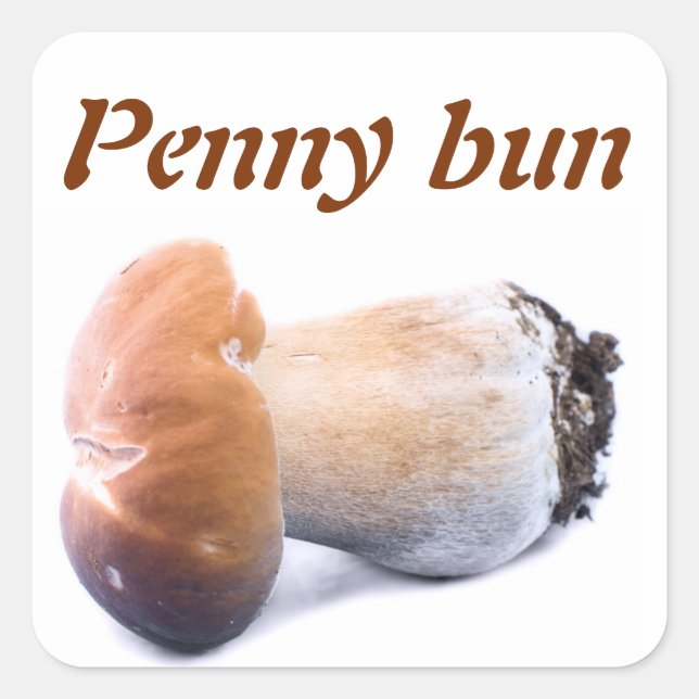 Penny bun quadratischer aufkleber (Vorderseite)