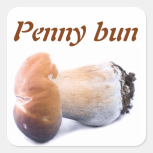 Penny bun quadratischer aufkleber