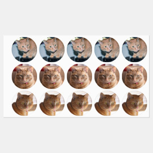 Penny Etiketten