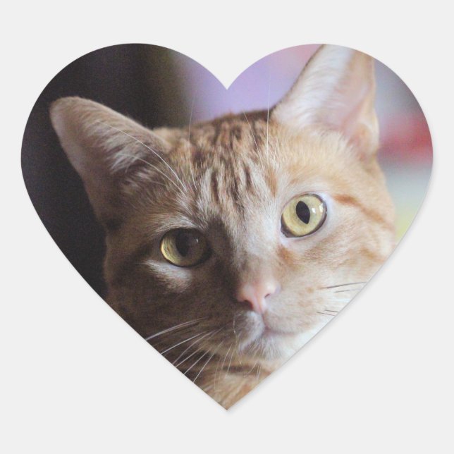 Penny Herz-Aufkleber (Vorderseite)