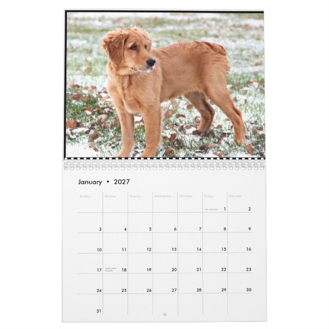 Penny-Kalender 2015 Kalender (Jan 2027)