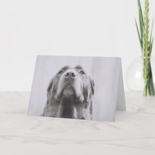 Penny Karte (Vorderseite)