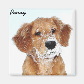 Penny Magnet à visage neigeux