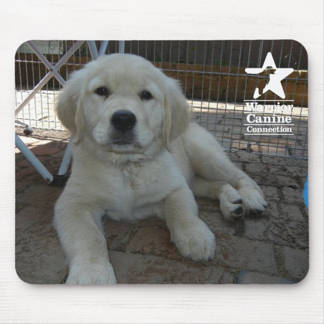 Penny Mousepad (Vorne)