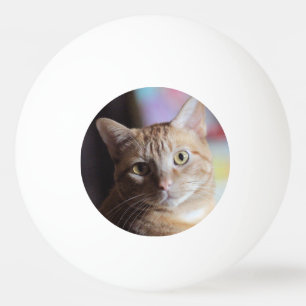 Penny Tischtennisball
