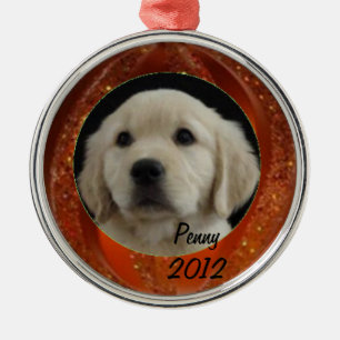 Penny-Verzierung Silbernes Ornament