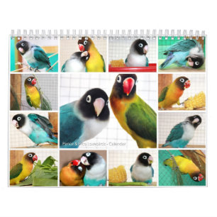 Pennys-Pico Lovebirds Kalender