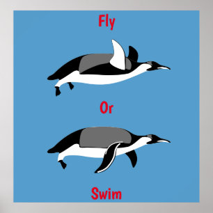 Penquin Fly oder Swim Poster