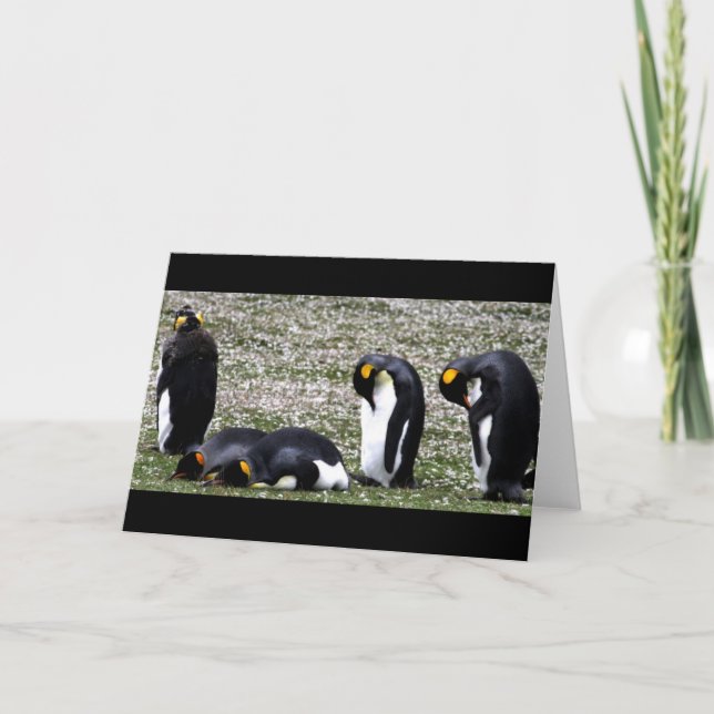 Penquin lundi Carte pour notes (Devant)
