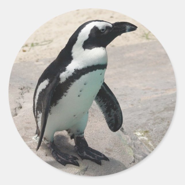 Penquin Sticker (Vorderseite)