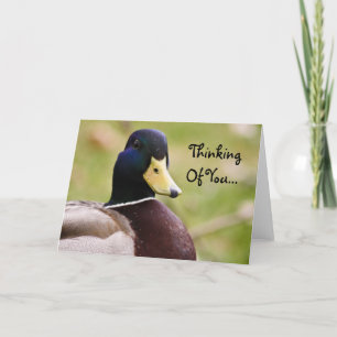 Pensée à vous carte de canard