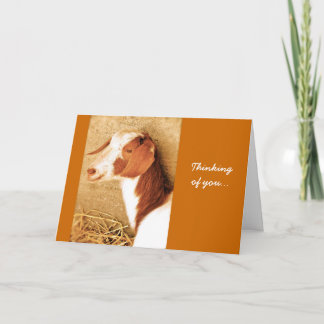 Pensée à vous carte de chèvre