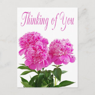 Pensée Florale de vous rose Peony carte postale