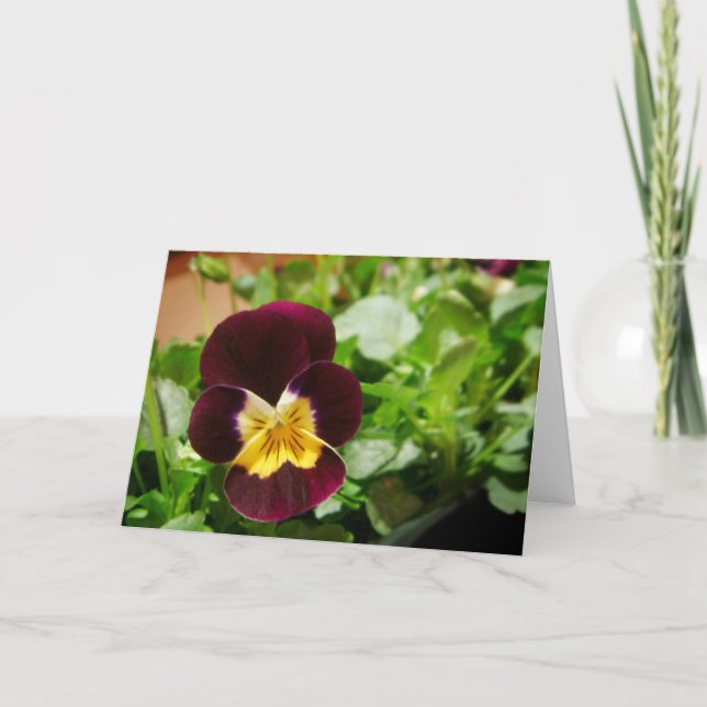 Pensée Karte (Vorderseite)