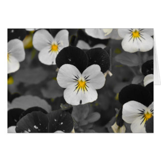 Pensées/couleur d'isolement