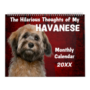 Pensées hilarantes de mon calendrier Havanais