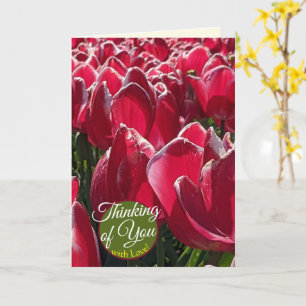 Pensées pour toi Tulipes rouges Cartes de vœux flo