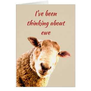 Penser à Ewe amusant Humour animal mouton