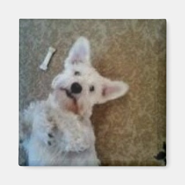 Penser À Ton Aimant (Devant)