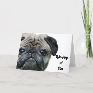 Penser à votre carlin chien carte de voeux