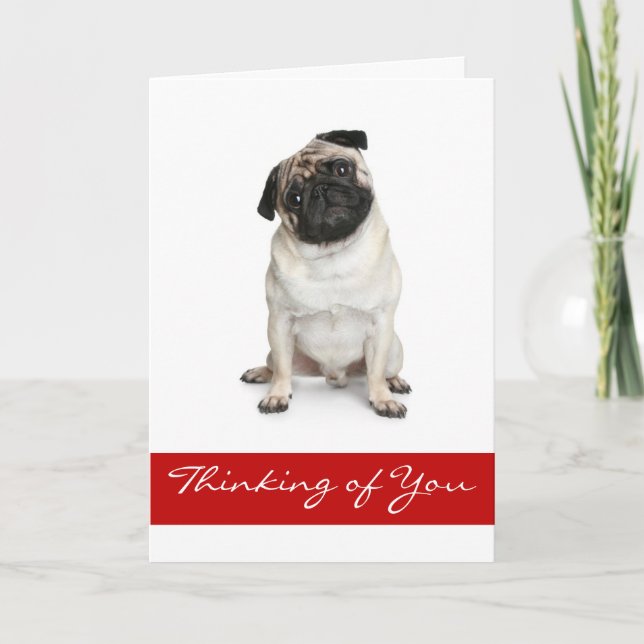 Penser à votre Carlin Chien Chien Carte de voeux (Devant)