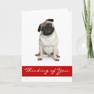 Penser à votre Carlin Chien Chien Carte de voeux