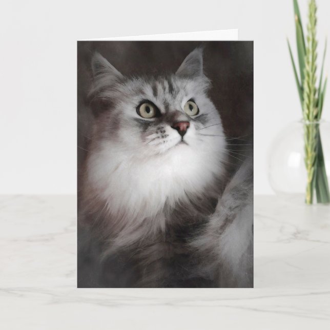 Penser à votre carte (Devant)