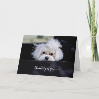 Penser à votre carte pliée