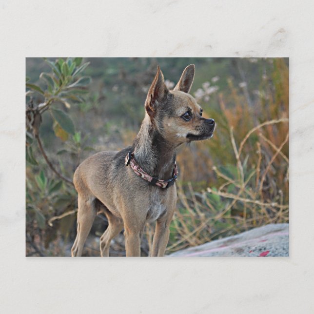 Penser à votre carte postale (Devant)