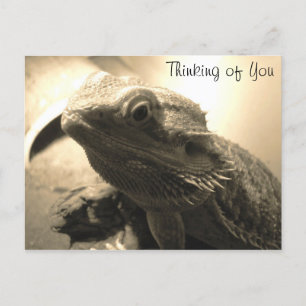 Penser à votre carte postale