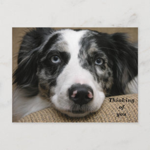 Penser à votre carte postale