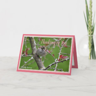 Penser à vous Belle carte de voeux d'oiseaux