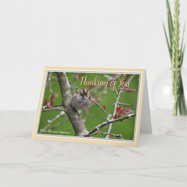 Penser à vous Belle carte de voeux d'oiseaux (Devant)