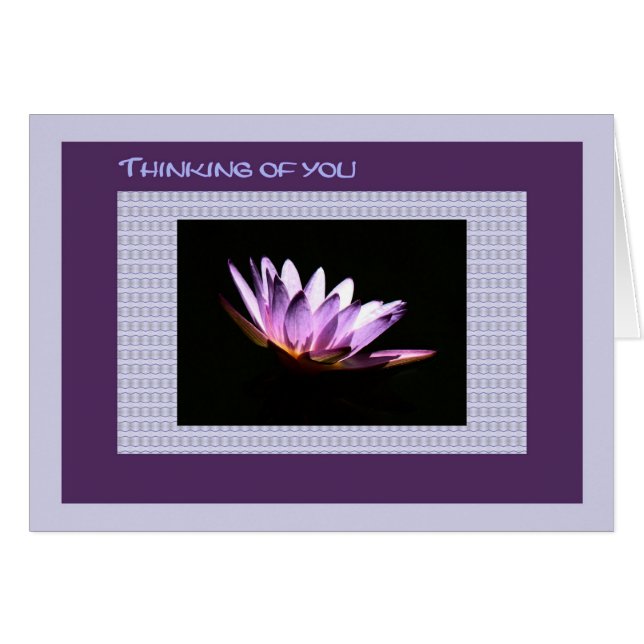 Penser à vous Carte Purple Water Lily (Devant horizontal)