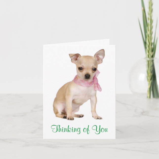Penser à vous Chihuahua Chiot Chiot Carte de voeux (Devant)