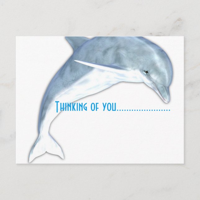 Penser À Vous Dolphin Fashion Carte Postale (Devant)